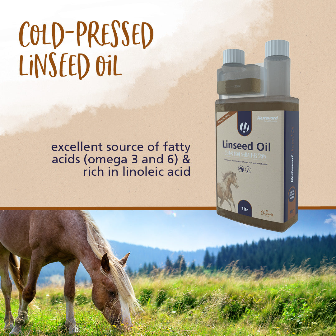 Hestevard Linseed Oil