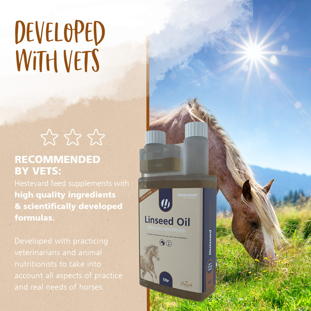 Hestevard Linseed Oil