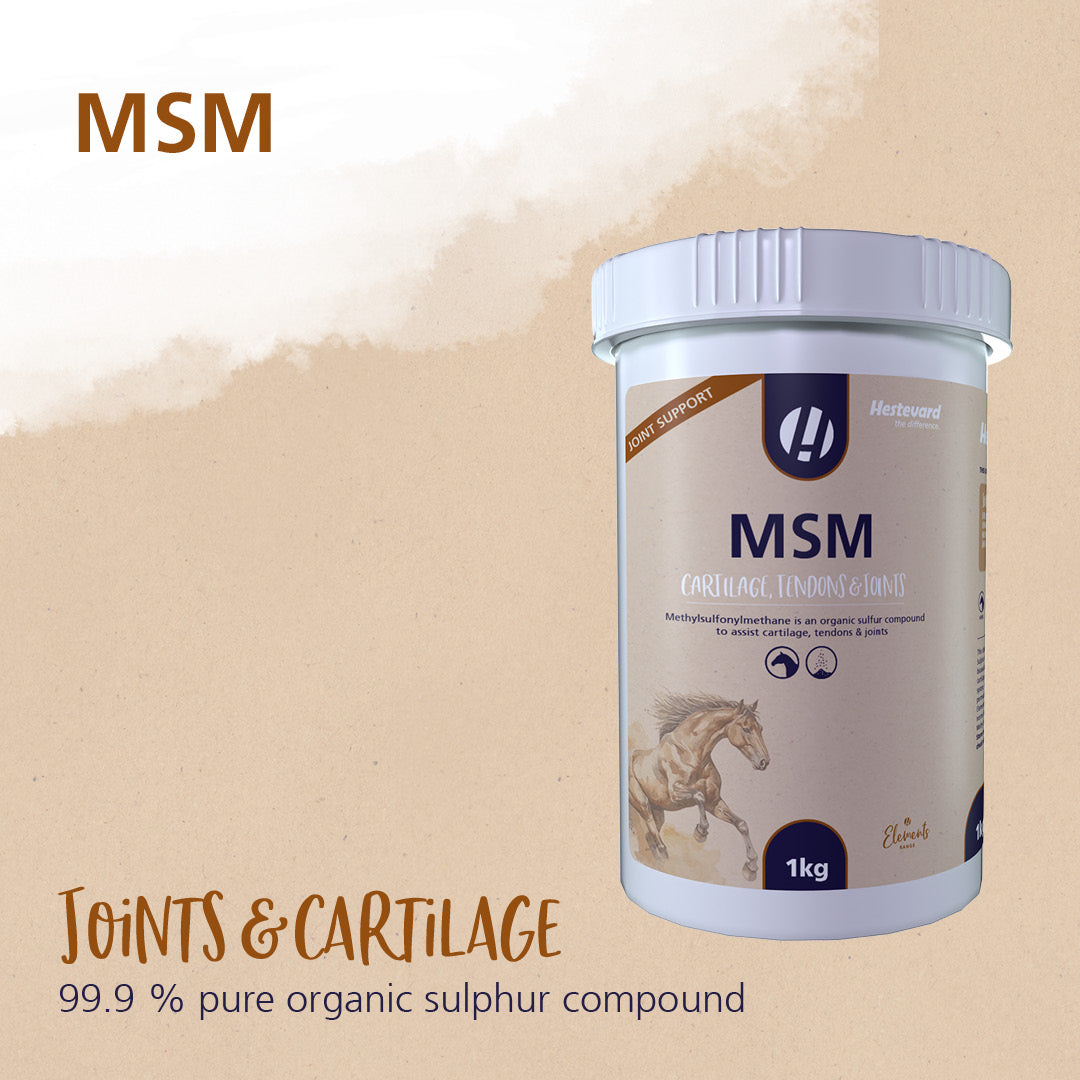 Hestevard MSM