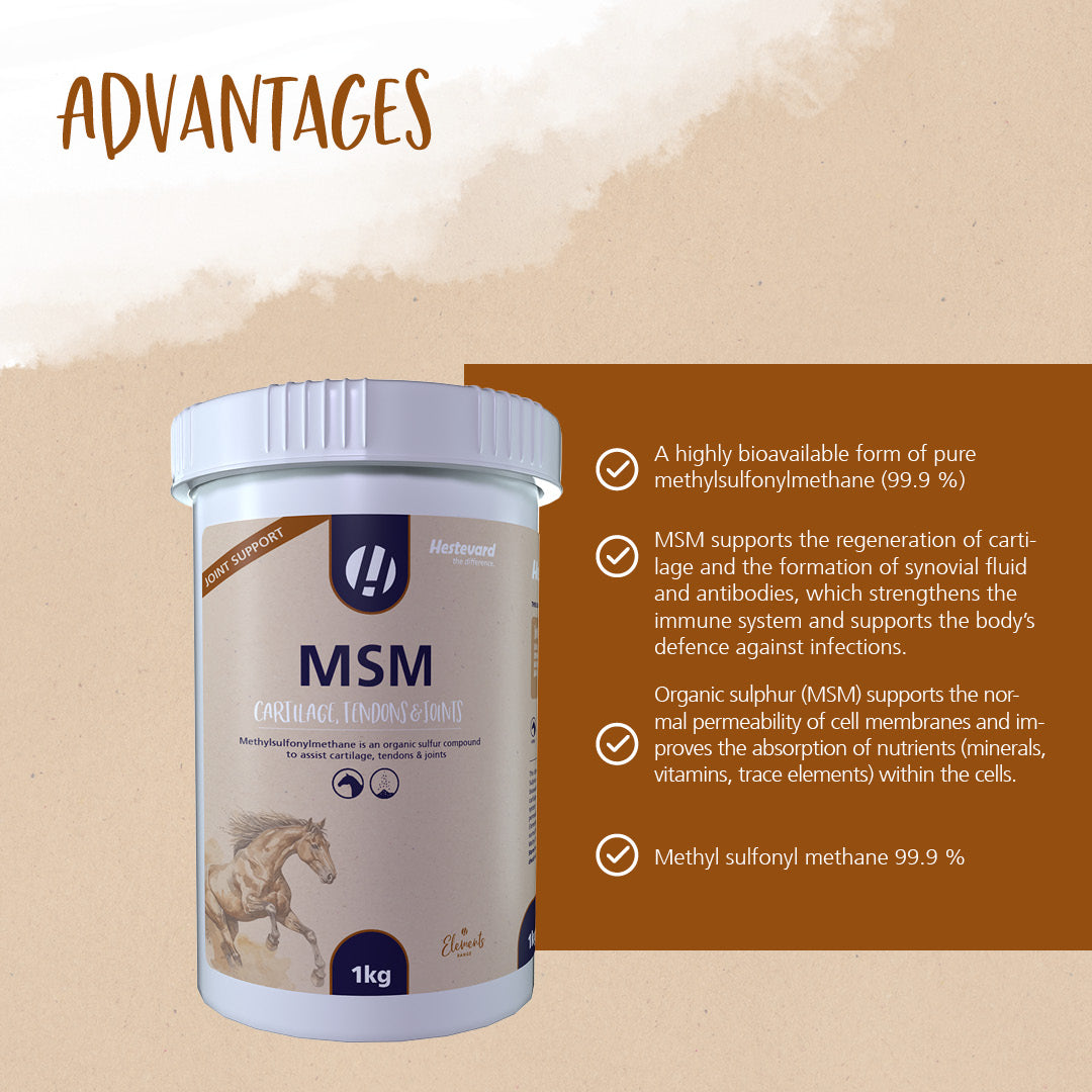 Hestevard MSM
