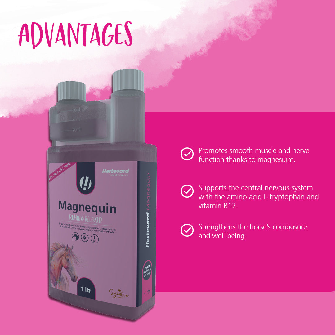 Hestevard Magnequin