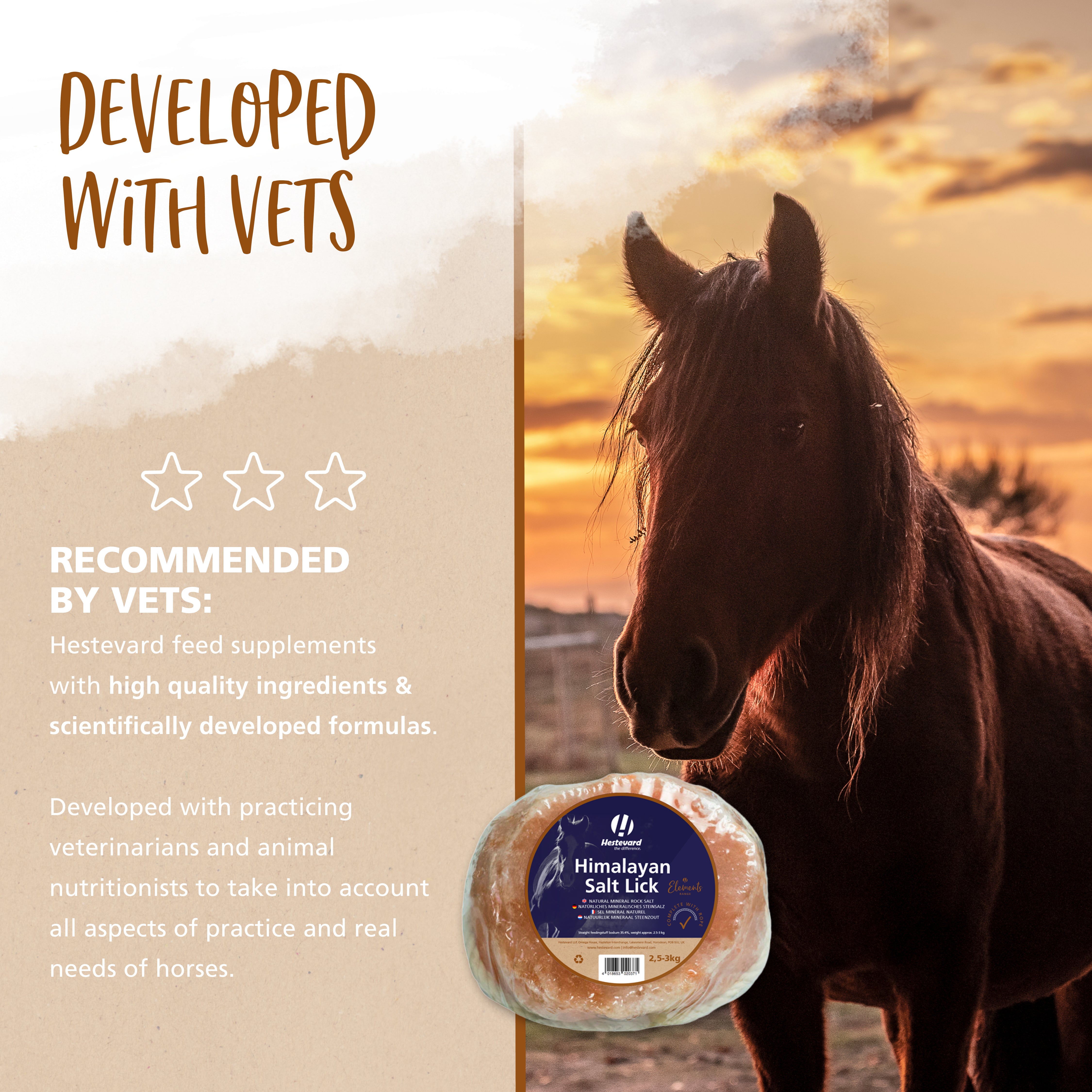Hestevard Himalayan Salt Lick
