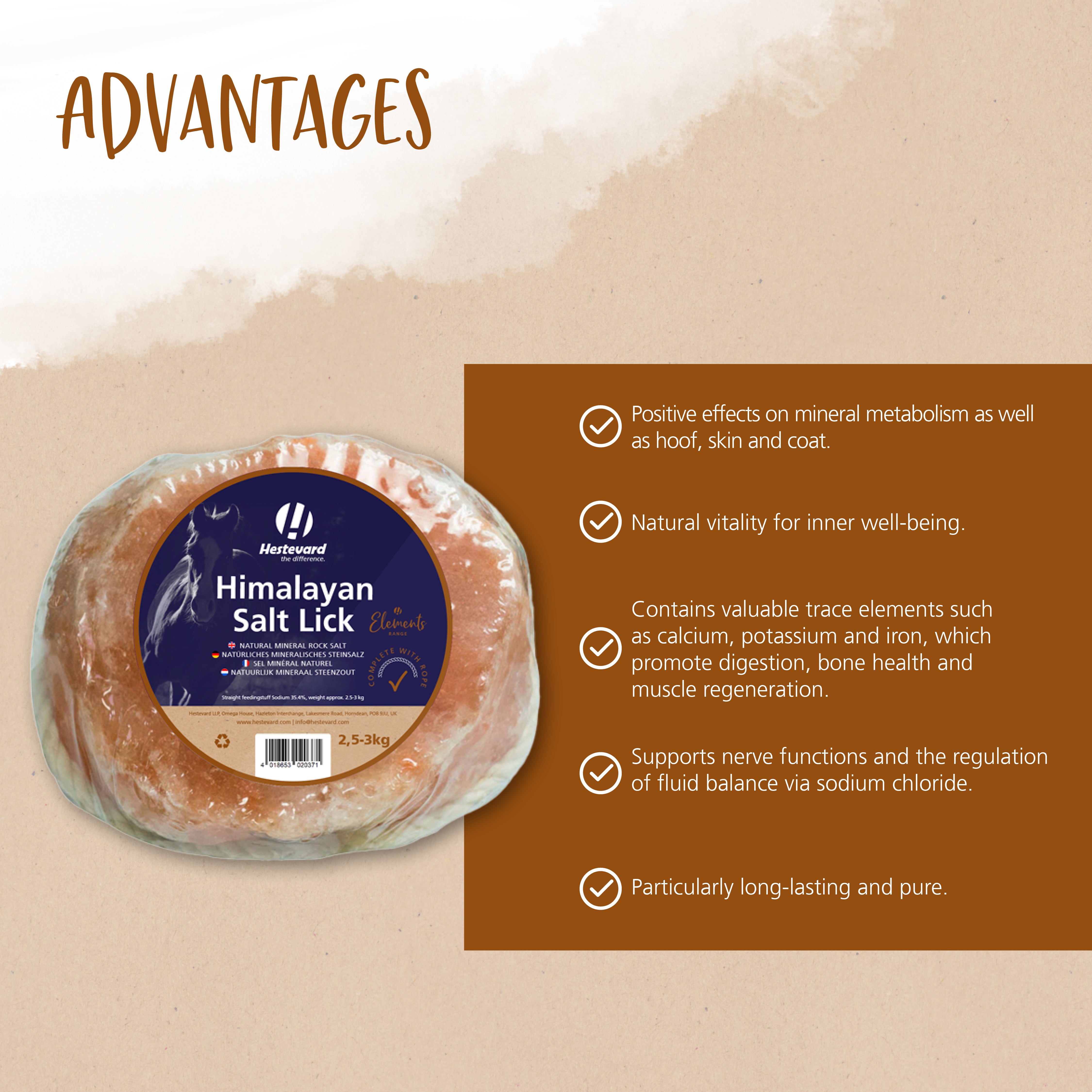 Hestevard Himalayan Salt Lick