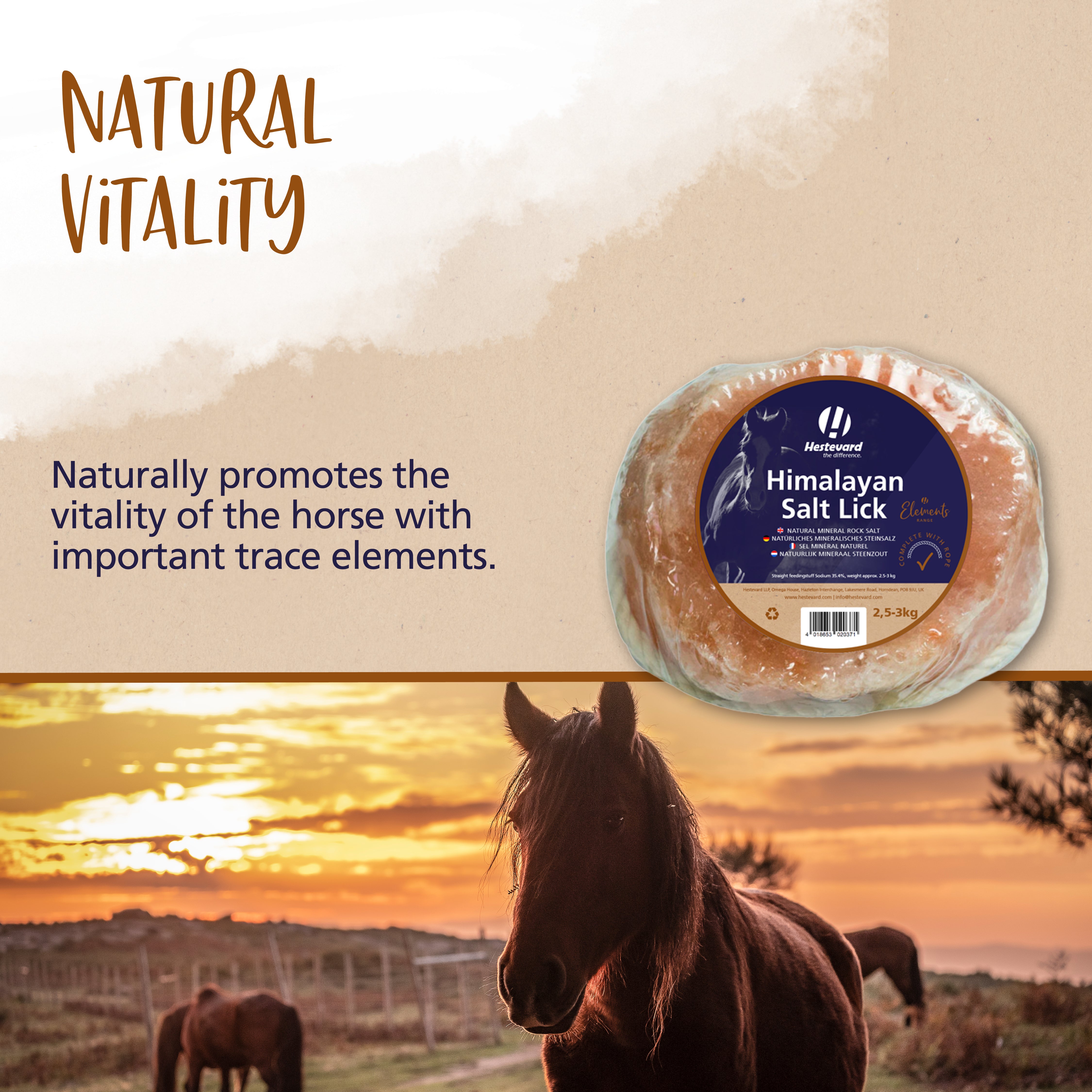 Hestevard Himalayan Salt Lick