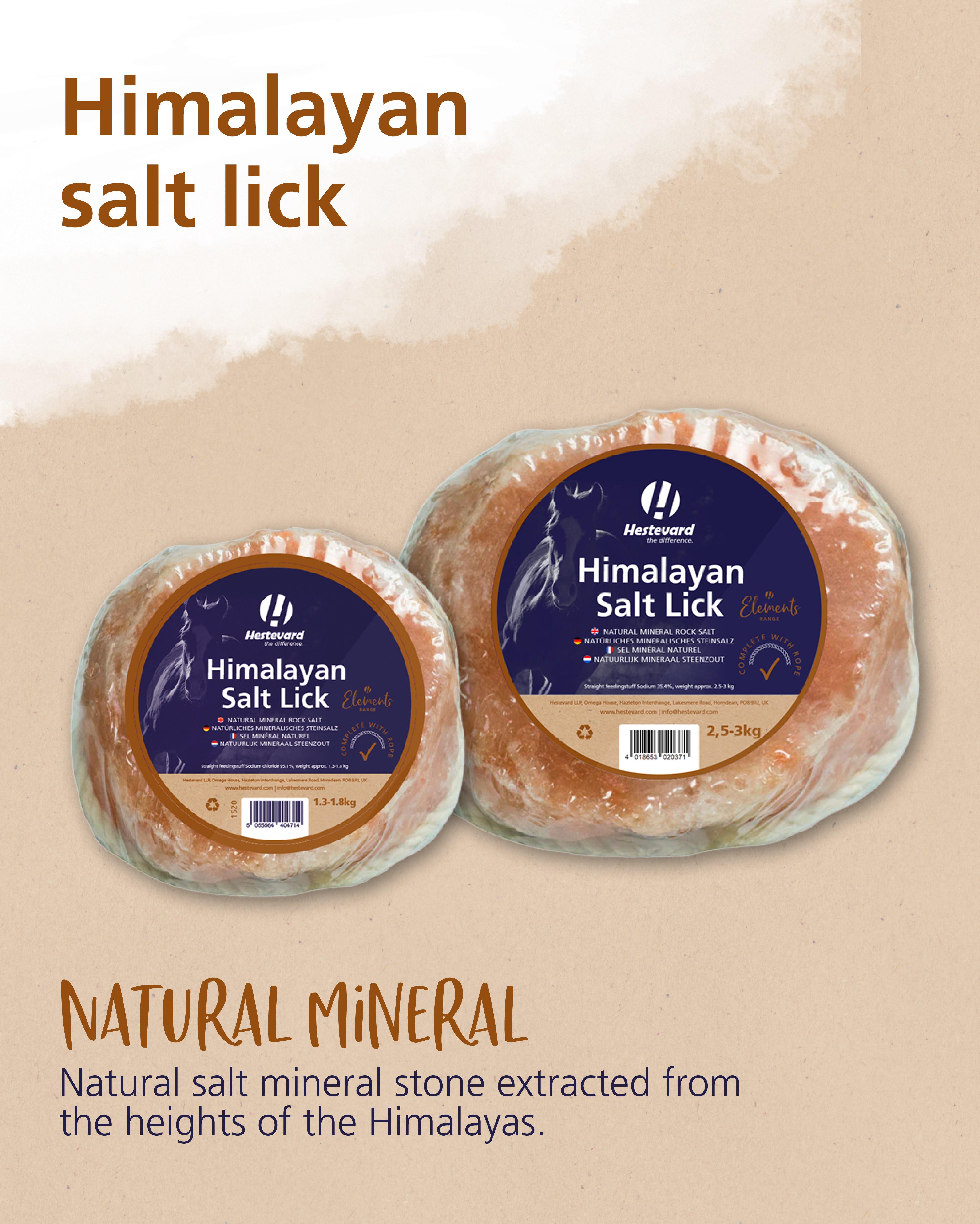 Hestevard Himalayan Salt Lick