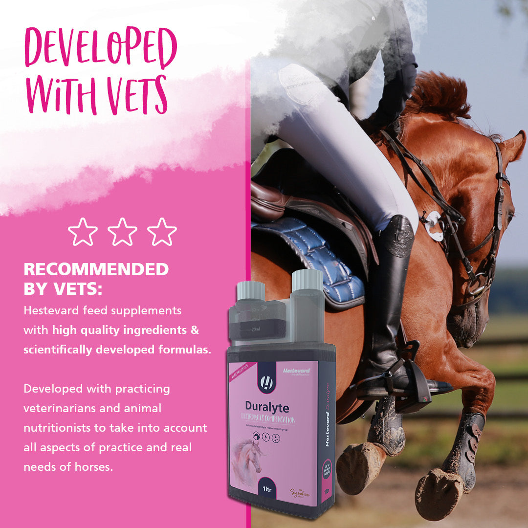 Hestevard Duralyte