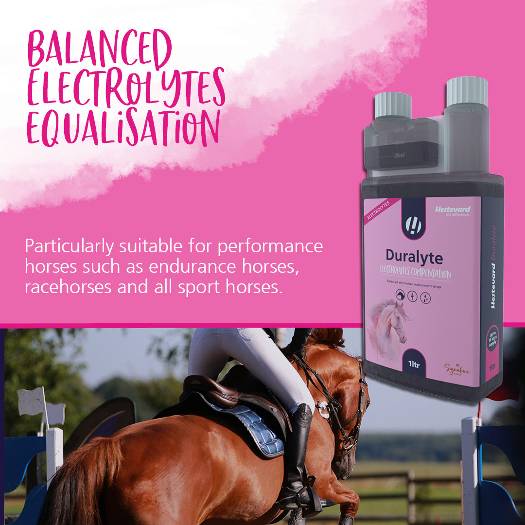 Hestevard Duralyte