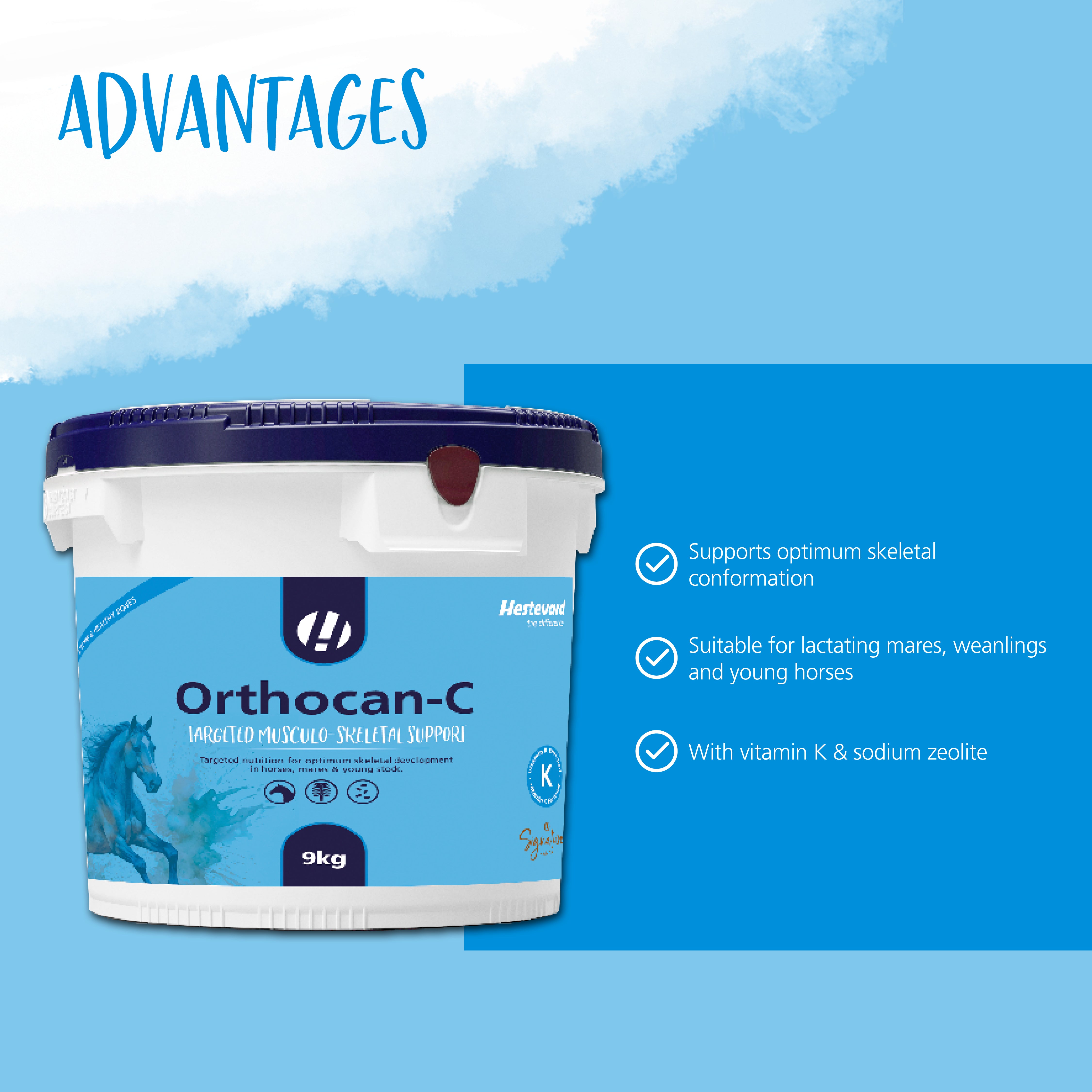 Hestevard Orthocan-C