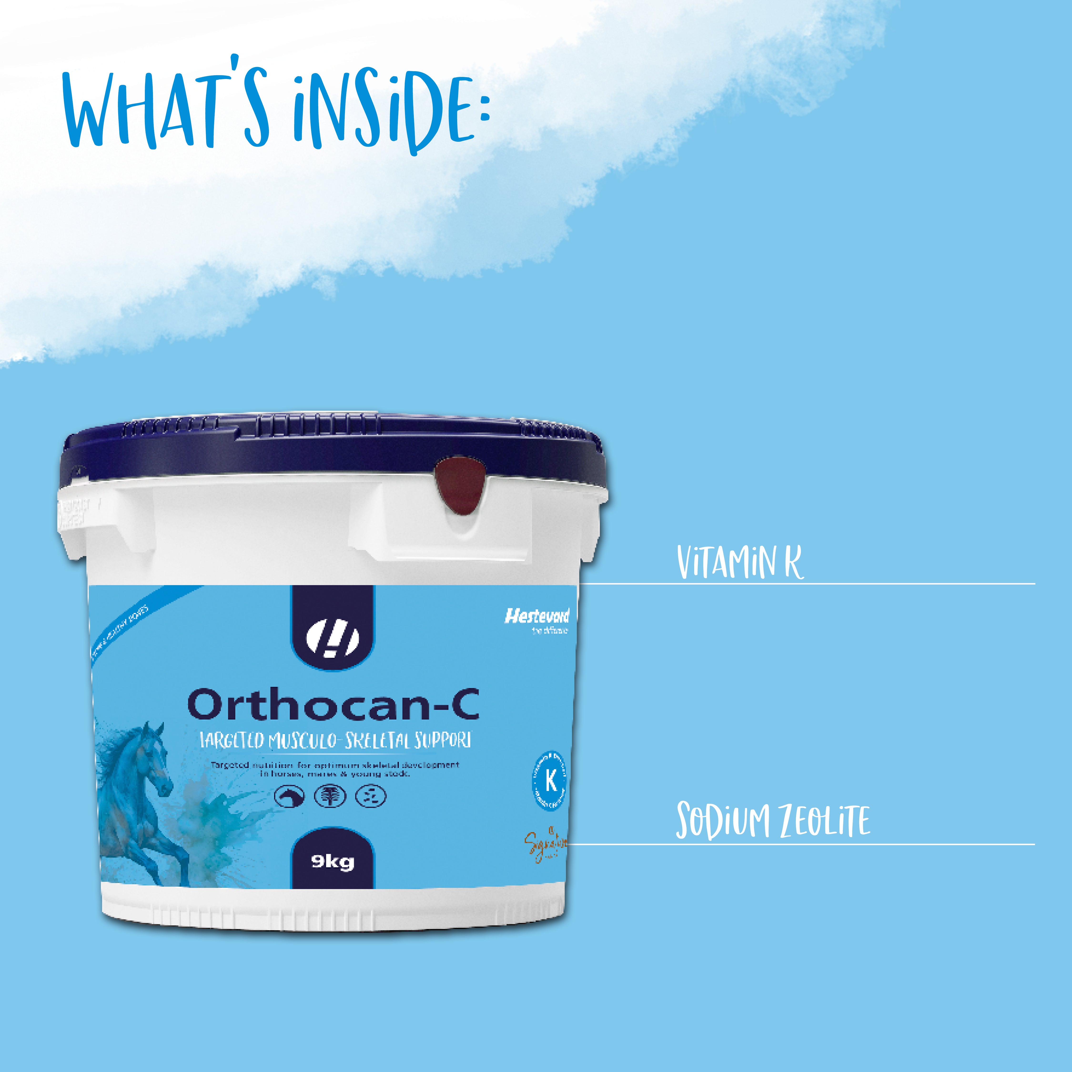 Hestevard Orthocan-C