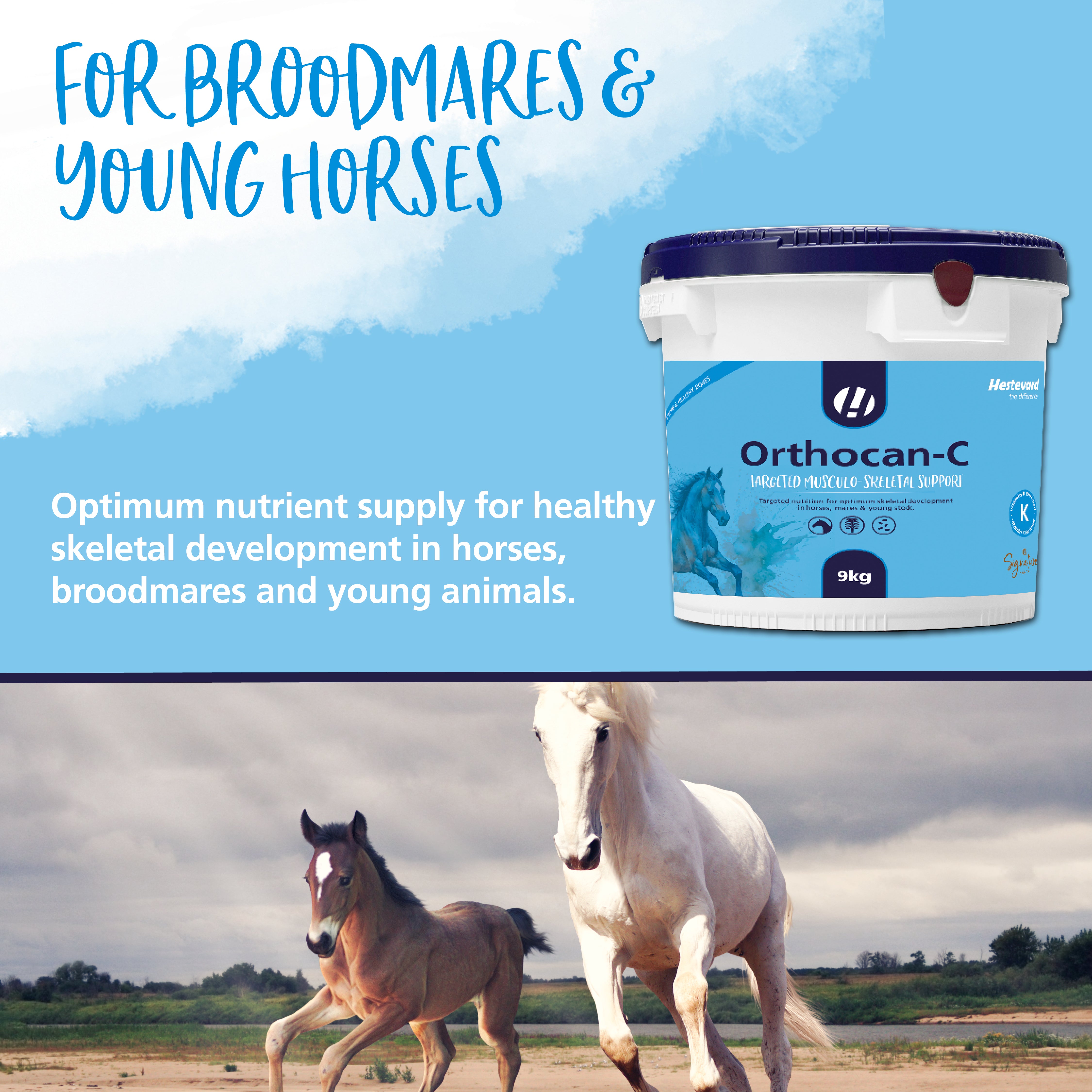 Hestevard Orthocan-C