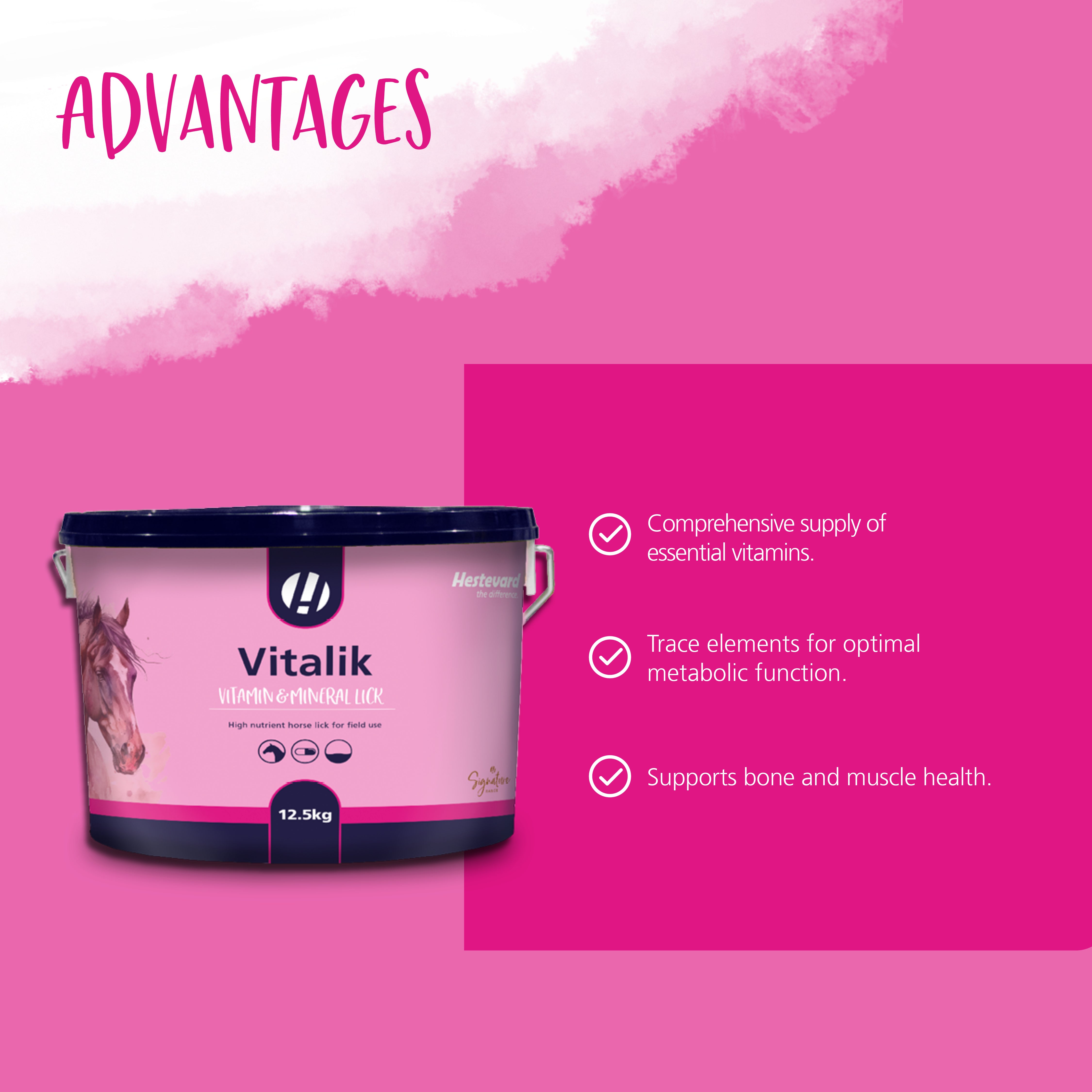 Hestevard Vitalik 12.5kg