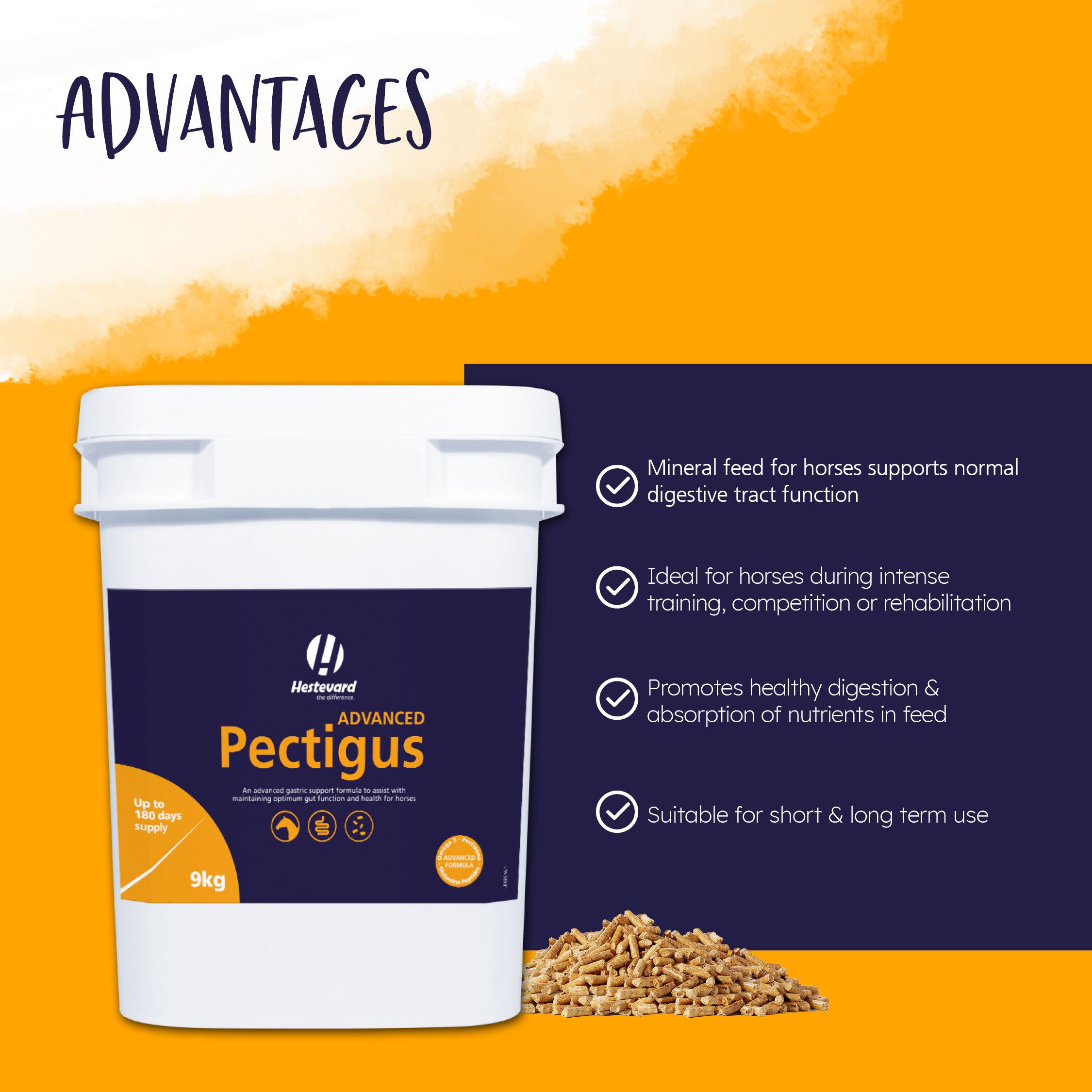 Hestevard Pectigus ADVANCED