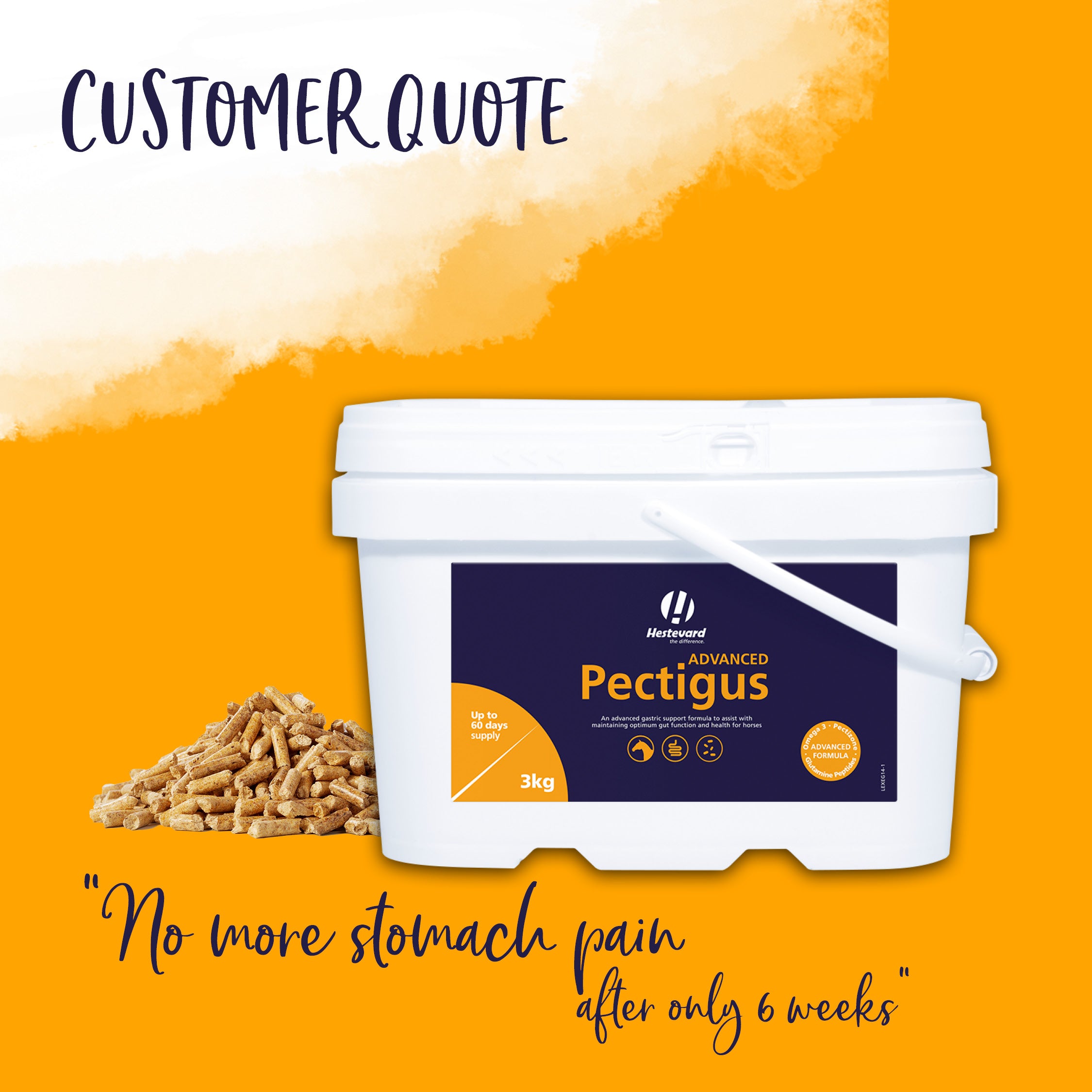 Hestevard Pectigus ADVANCED