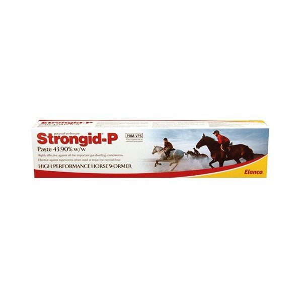 Strongid-P Paste 26g single POM-VPS