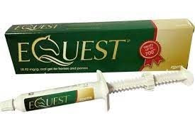 Equest Oral Gel Horse Wormer POM-VPS
