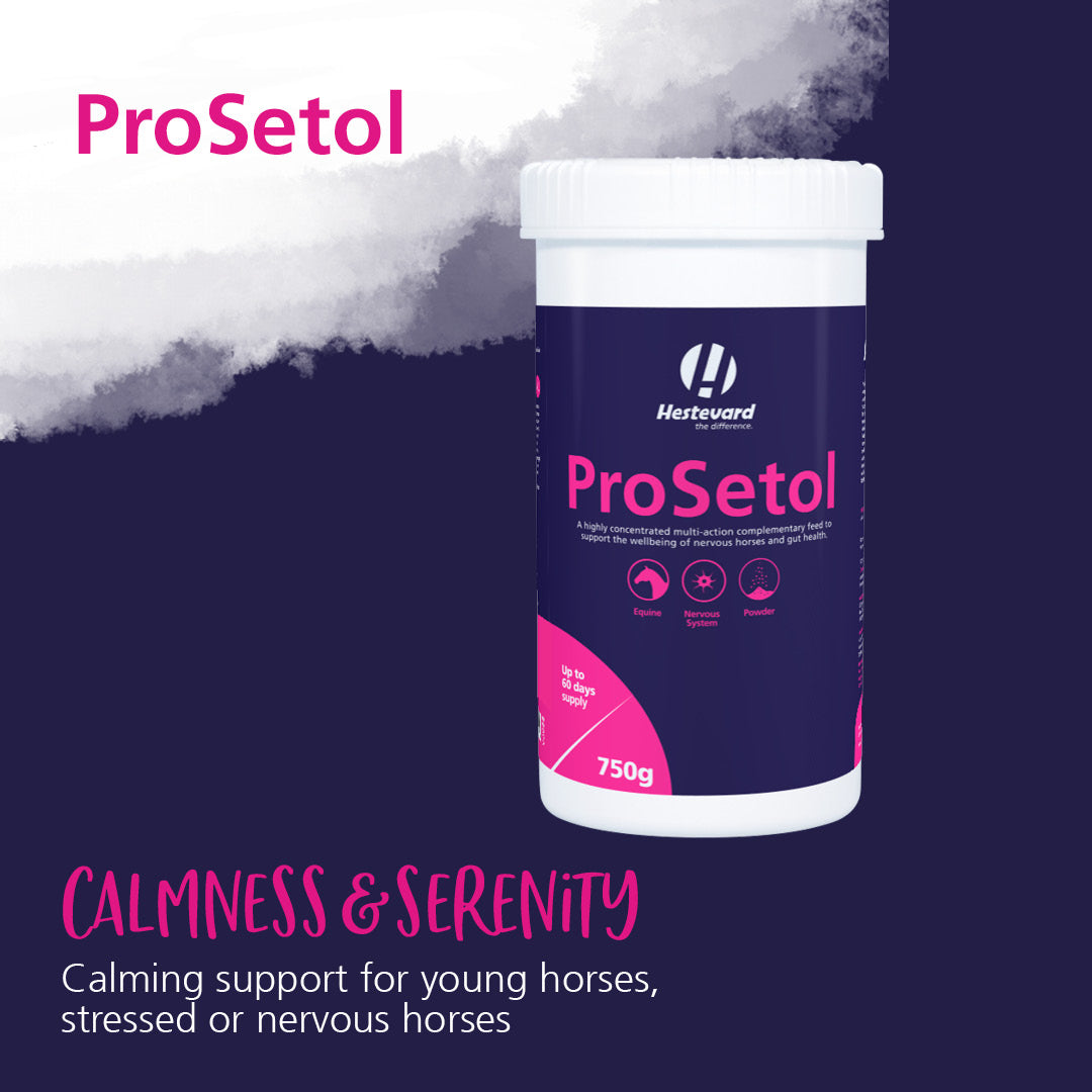 Hestevard ProSetol