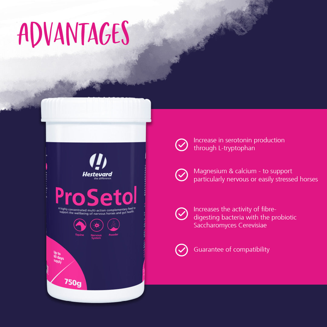 Hestevard ProSetol