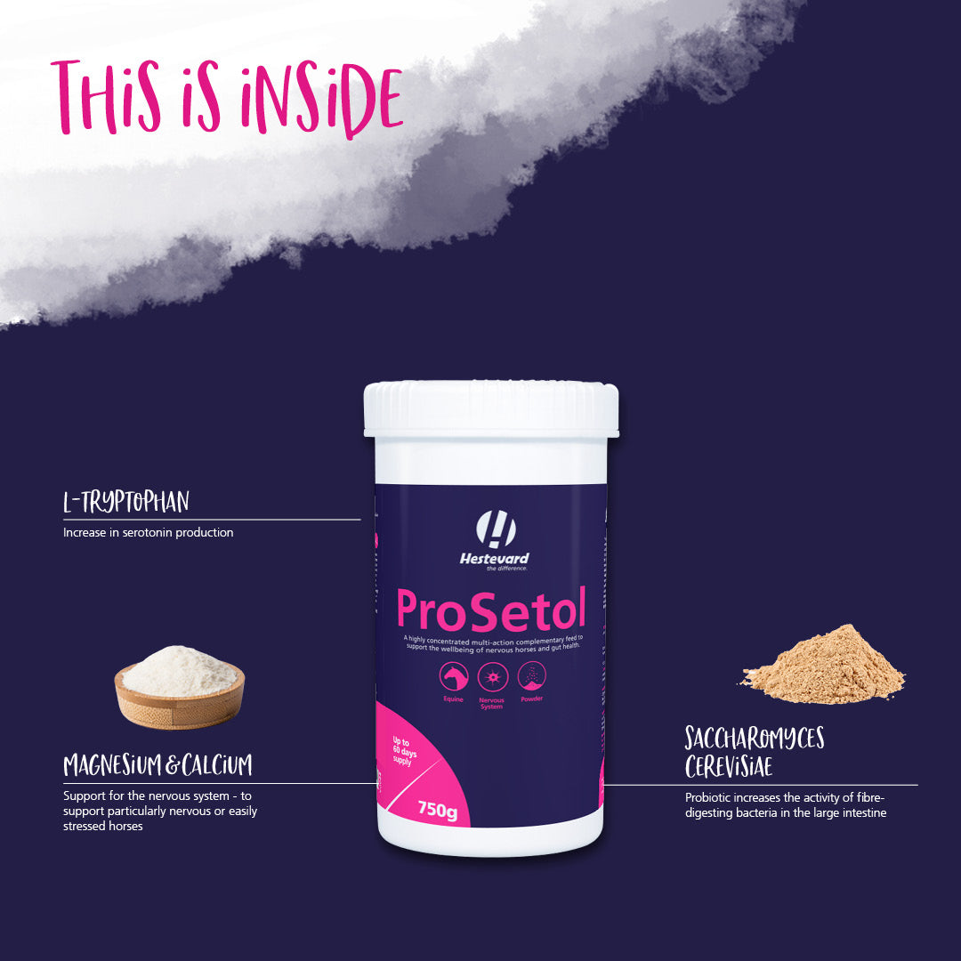 Hestevard ProSetol