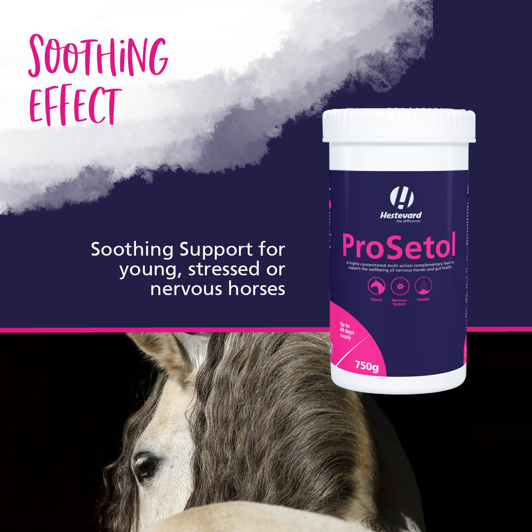 Hestevard ProSetol