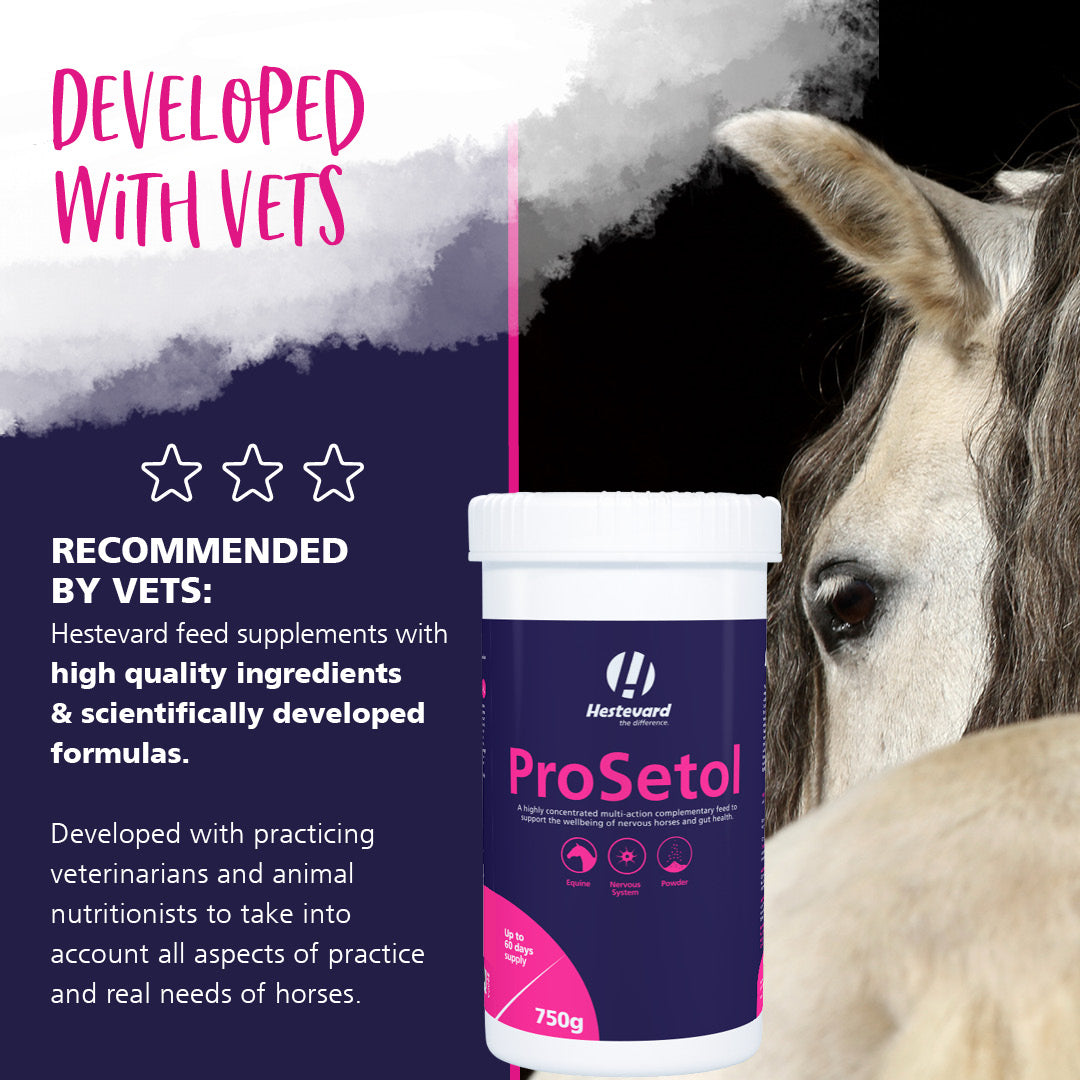 Hestevard ProSetol