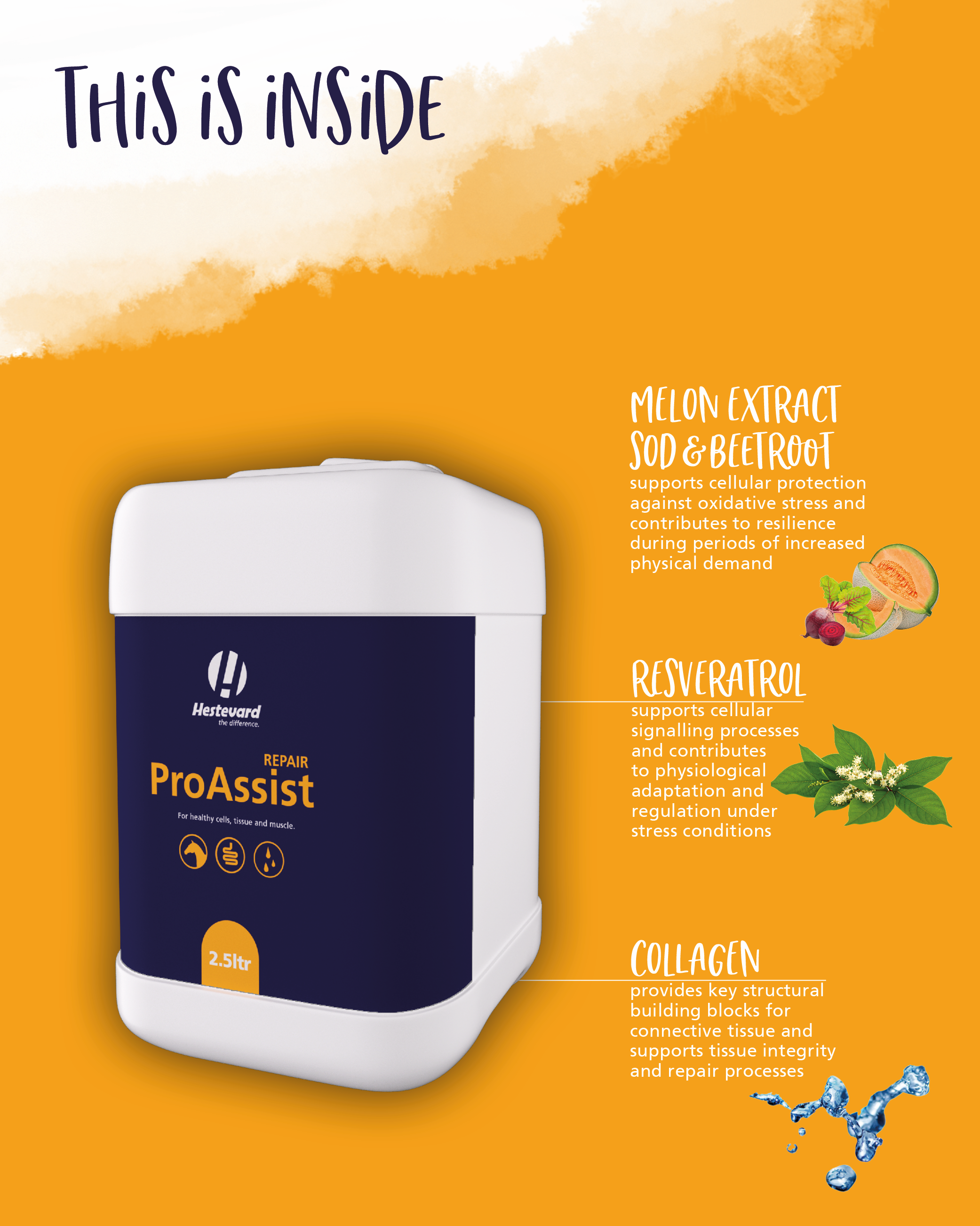 Hestevard ProAssist Repair 2.5L