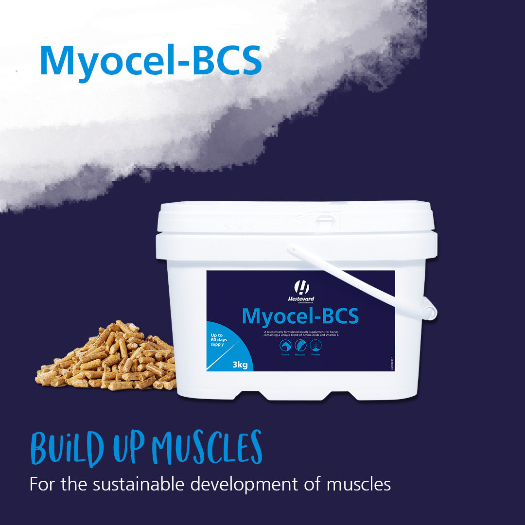 Hestevard Myocel-BCS
