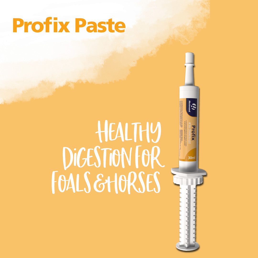 Hestevard Profix Paste 30ml