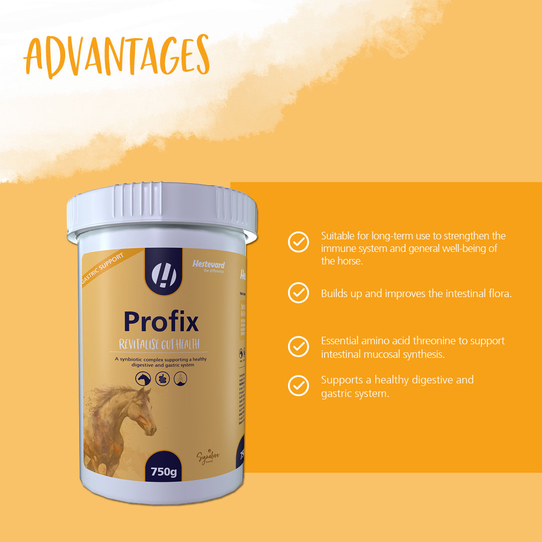 Hestevard Profix