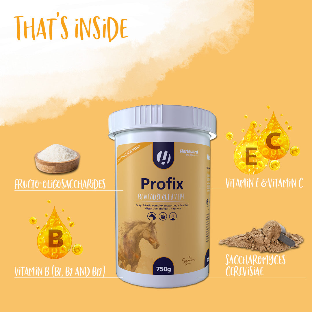 Hestevard Profix