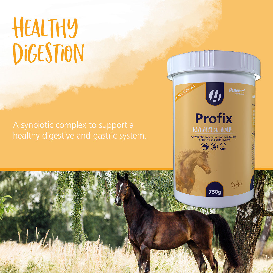 Hestevard Profix