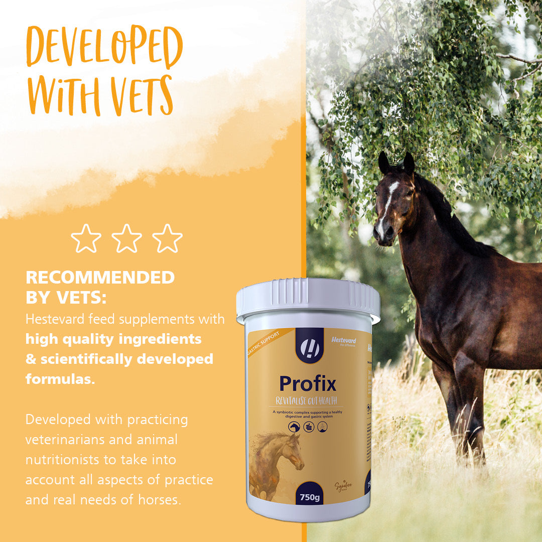Hestevard Profix
