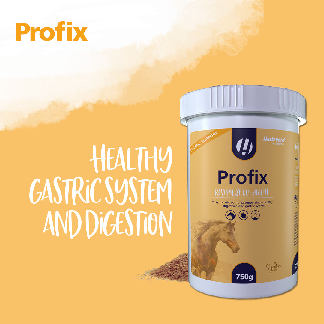 Hestevard Profix