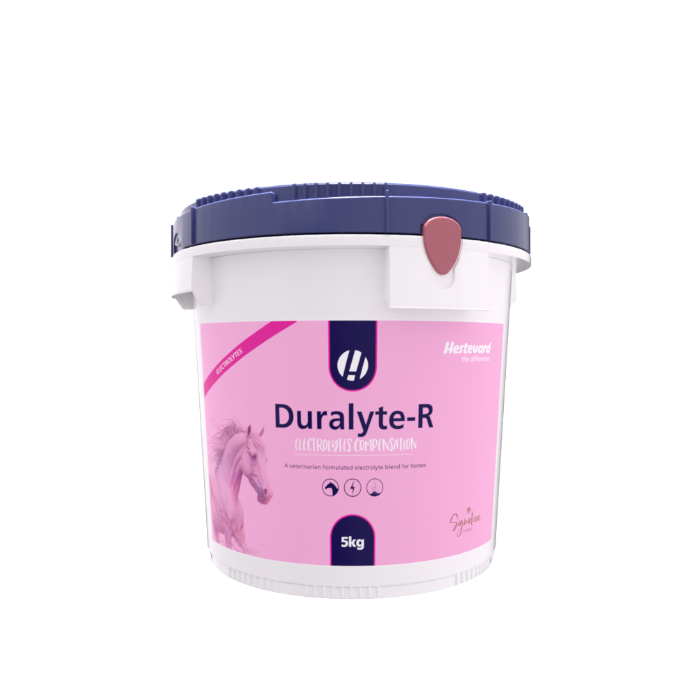 Hestevard Duralyte-R