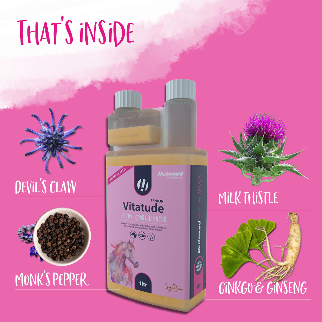 Hestevard Vitatude Senior