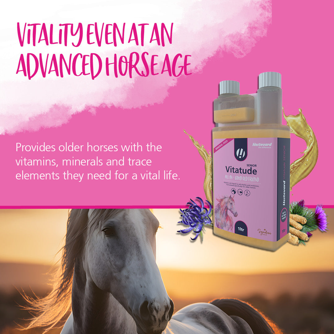 Hestevard Vitatude Senior
