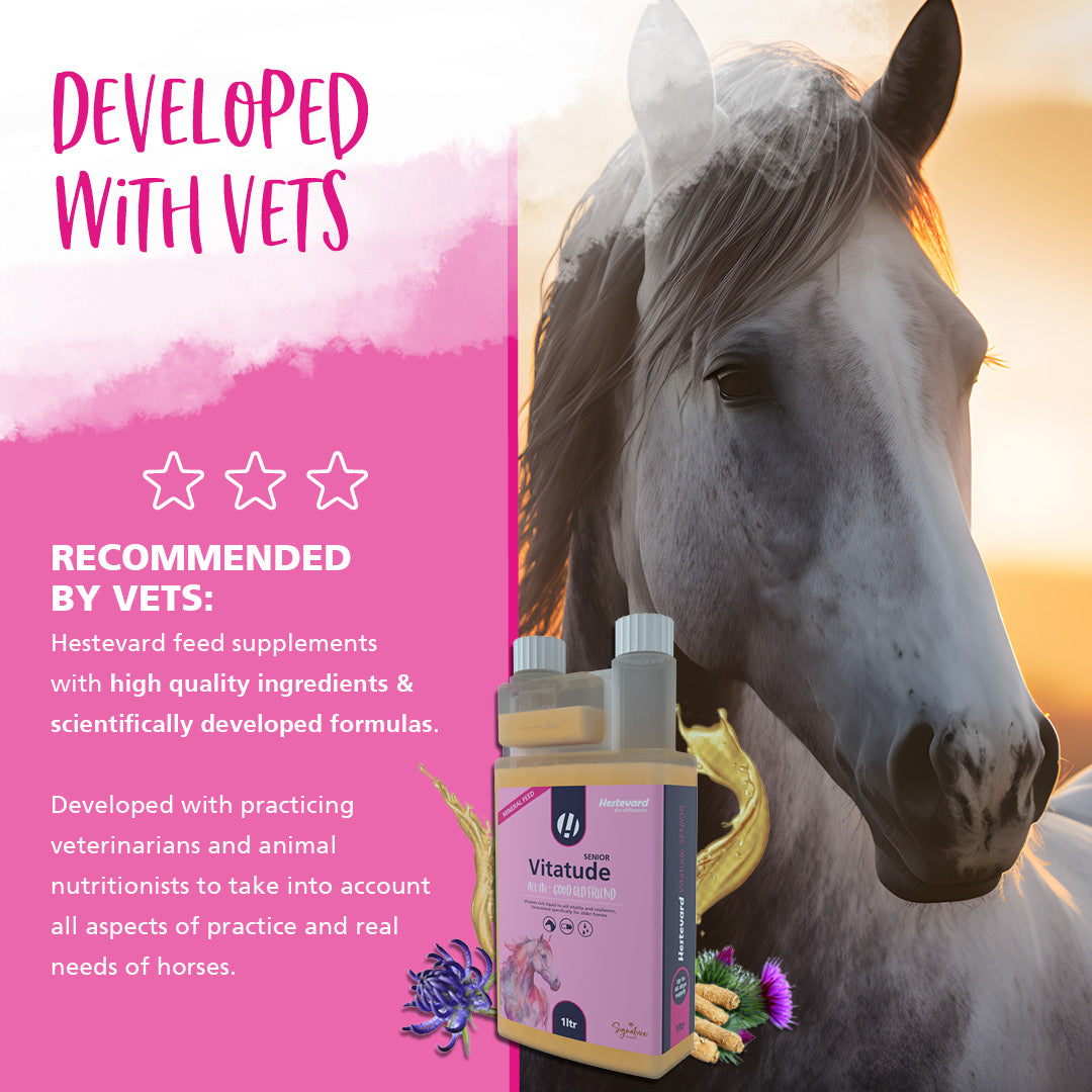Hestevard Vitatude Senior