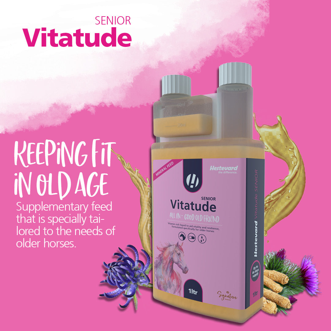 Hestevard Vitatude Senior