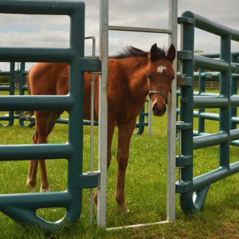 Duracorral Creep Pen (8 x Panels Green & 4x Creep Arches)