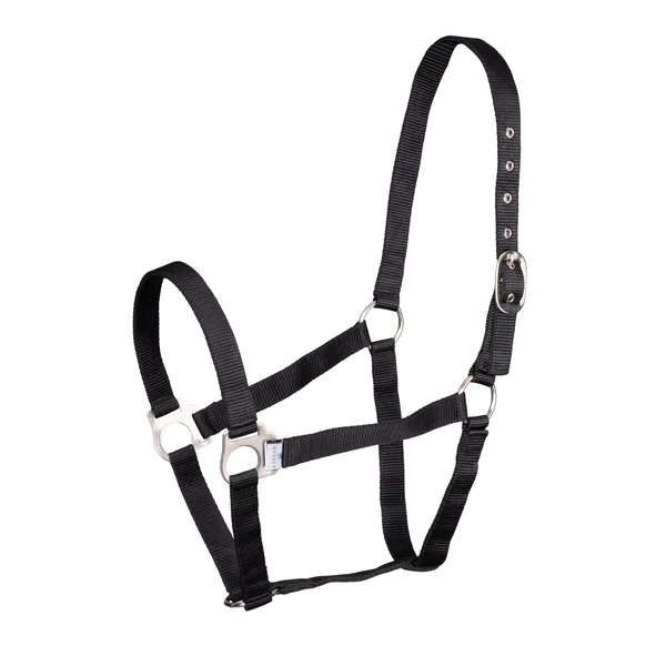 Economy Nylon Headcollar