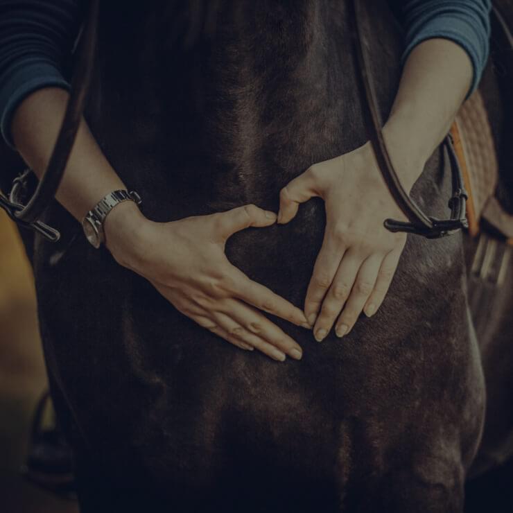 Contact Us Contact Us