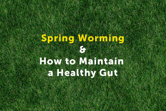 Quick guide to Spring worming