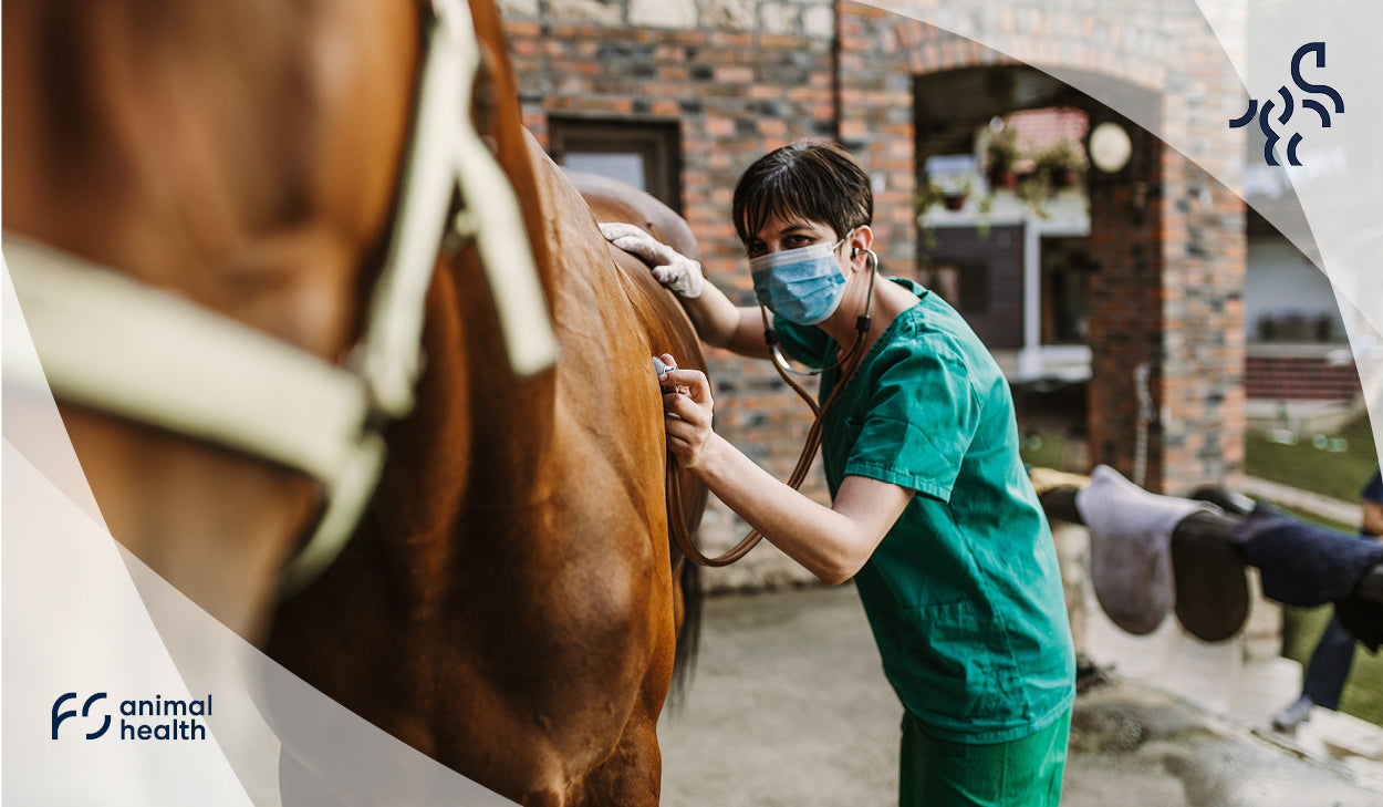 Fecal water in horses - What can be done?