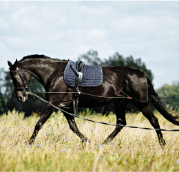 Lunging: An underrated element of training