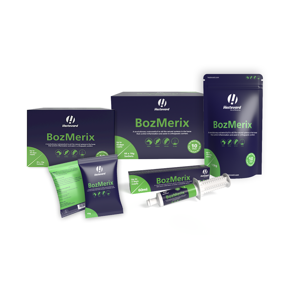 All Supplements