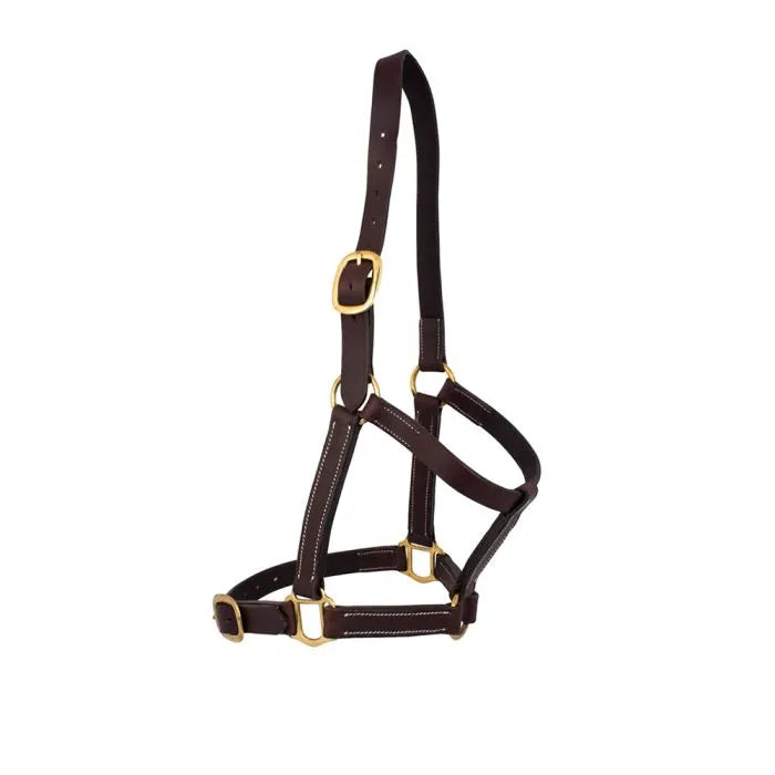 Leather Headcollar -Horse in Training-(full)(ES3020) brown