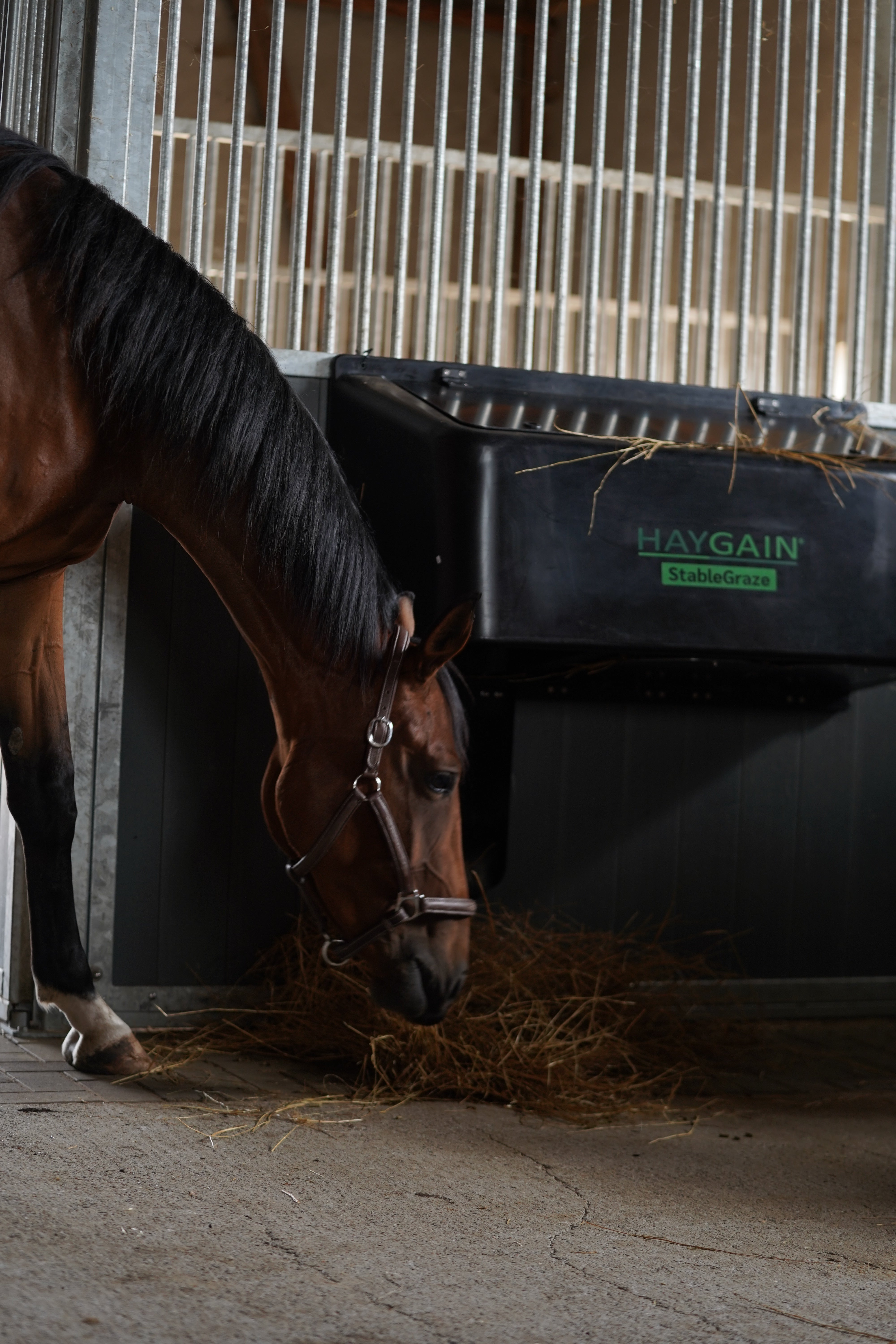 Haygain StableGraze Hay Feeder