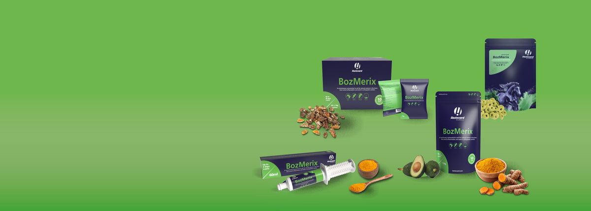 FS animal health ⇒ Feed supplements & practice supplies