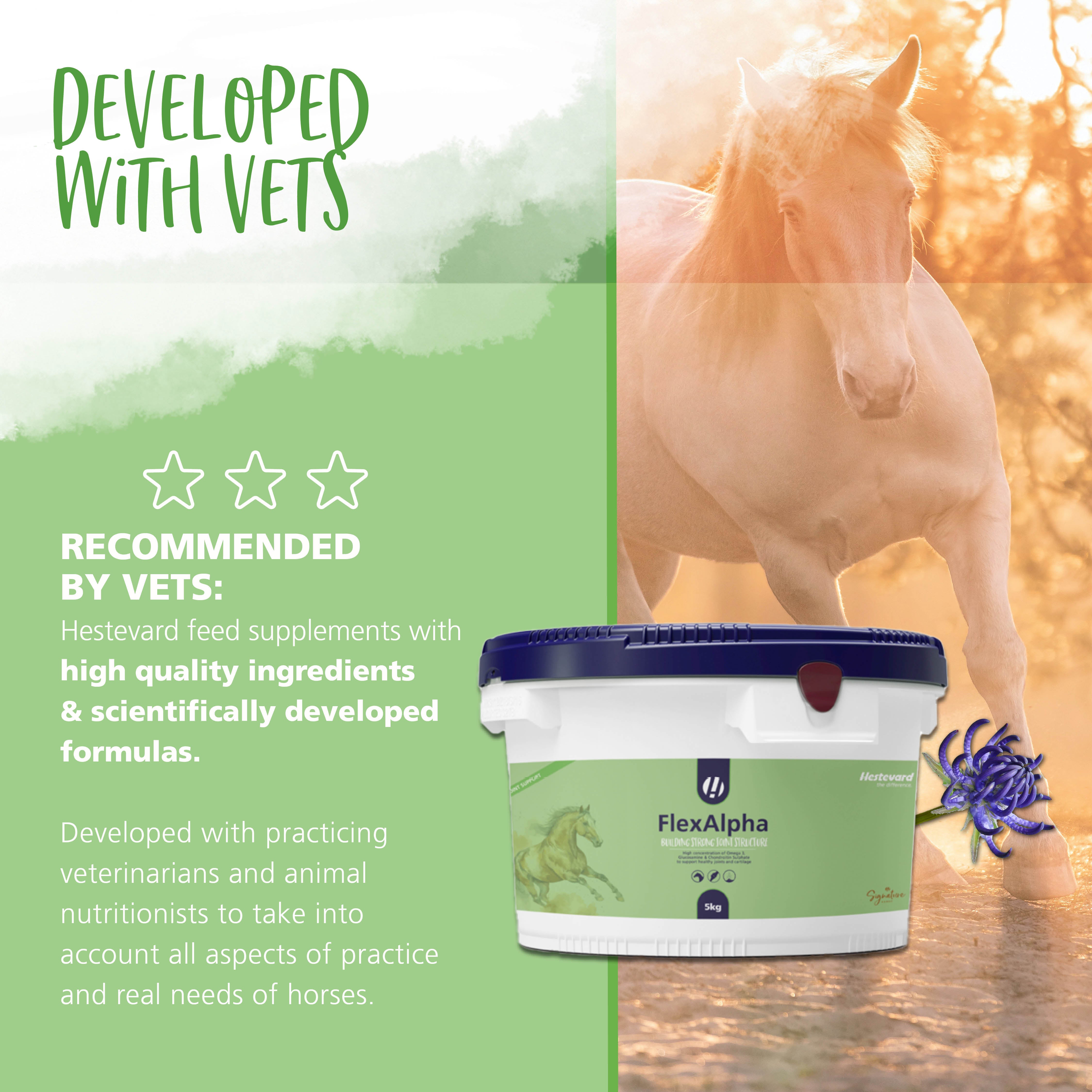 Hestevard FlexAlpha Powder