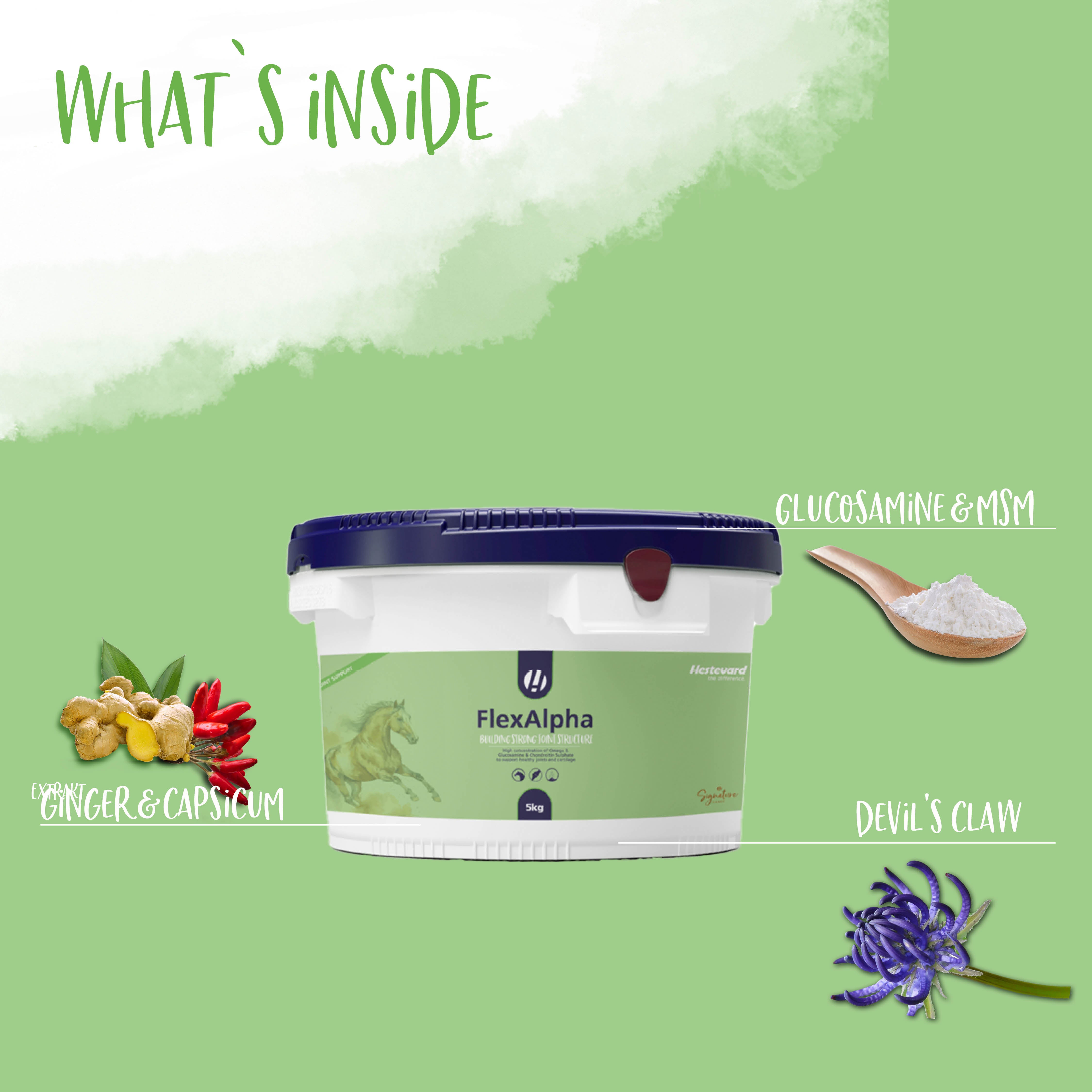 Hestevard FlexAlpha Powder