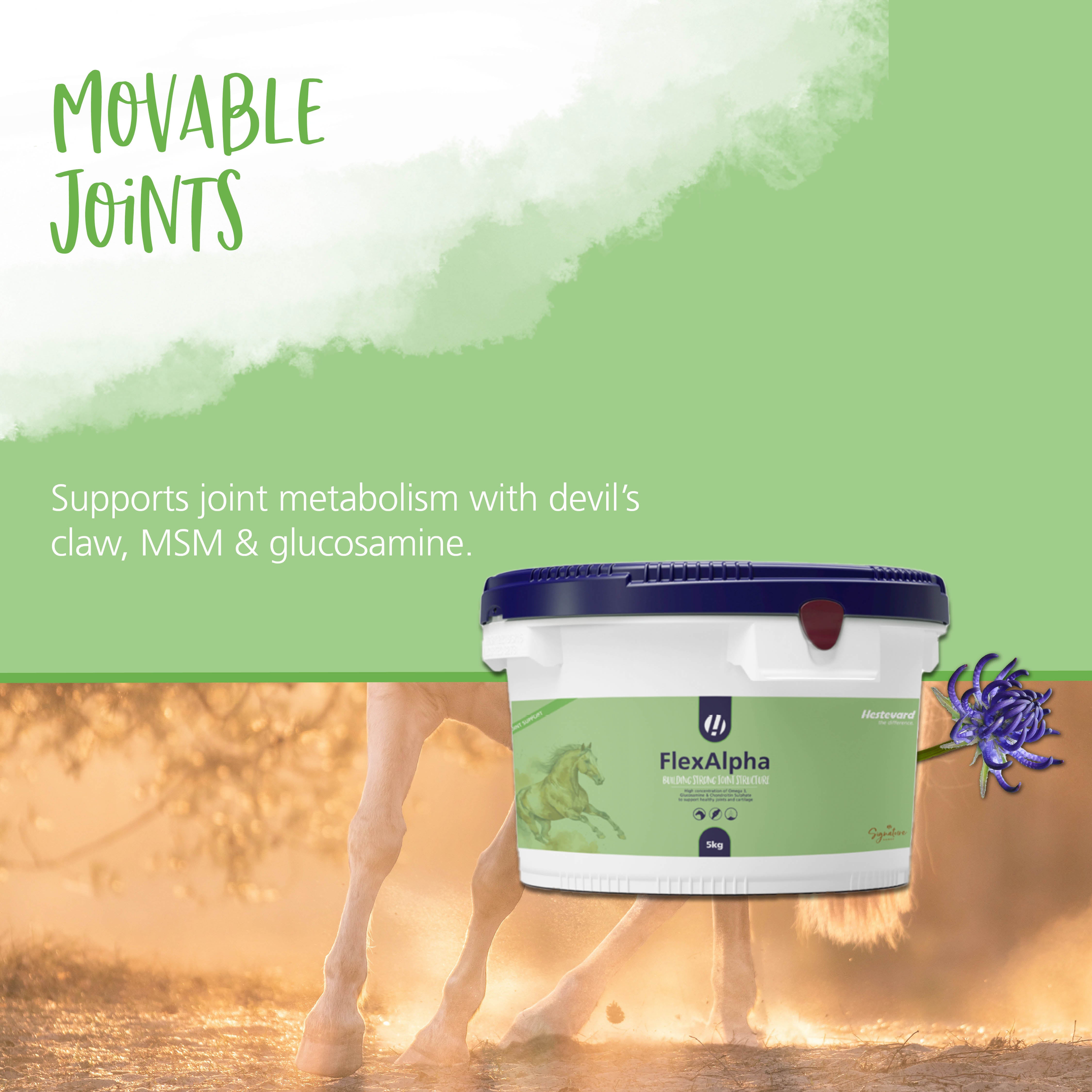 Hestevard FlexAlpha Powder